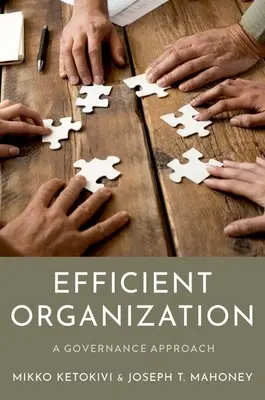 Efektívna organizácia - prístup k riadeniu - Efficient Organization - A Governance Approach