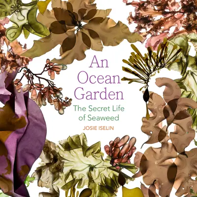 Záhrada pri oceáne: Tajný život morských rias - An Ocean Garden: The Secret Life of Seaweed