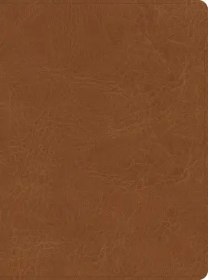 CSB He Reads Truth Bible, Saddle Leathertouch, Indexed