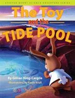 Hračka a prílivový bazén - Toy and the Tide Pool