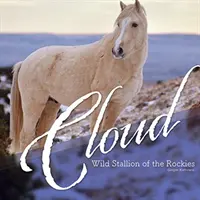 Oblak - divoký žrebec zo Skalistých hôr - Cloud - Wild Stallion of the Rockies