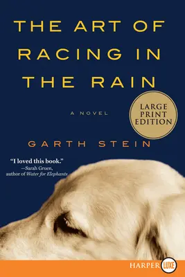 Umenie pretekania v daždi - The Art of Racing in the Rain