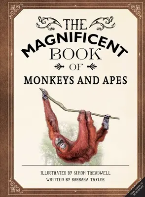 Veľkolepá kniha o opiciach a ľudoopoch - The Magnificent Book of Monkeys and Apes
