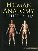 Ilustrovaná anatómia človeka - Human Anatomy Illustrated