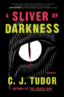 Kúsok temnoty: Príbehy - A Sliver of Darkness: Stories