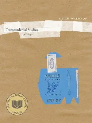 Transcendentálne štúdie: Trilógia, zväzok 27 - Transcendental Studies: A Trilogy Volume 27