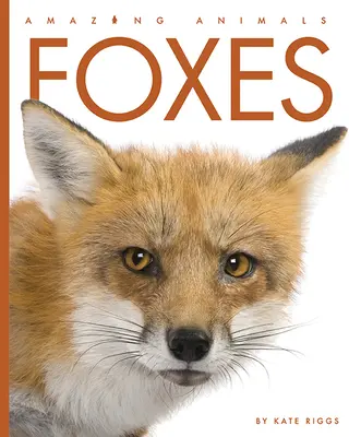 Líšky - Foxes