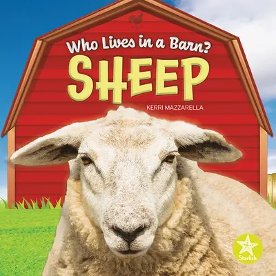 Ovce - Sheep