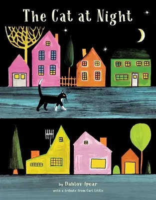 Mačka v noci - The Cat at Night