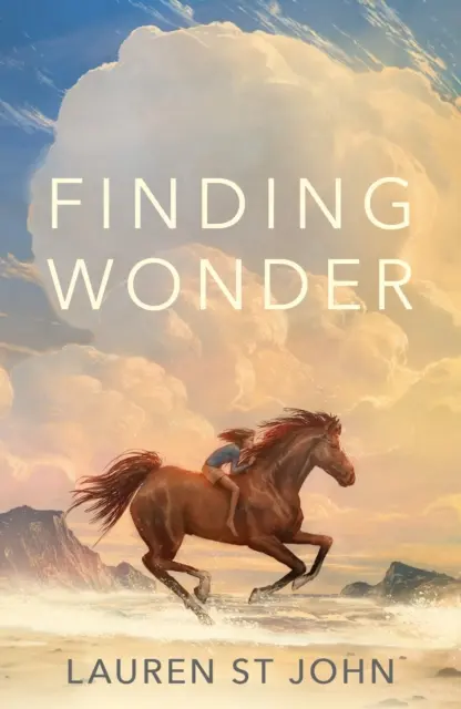 Hľadanie zázraku - od autora medzinárodného bestselleru Kôň za jeden dolár - Finding Wonder - From the internationally bestselling author of The One Dollar Horse