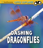 Čiperné vážky - Dashing Dragonflies