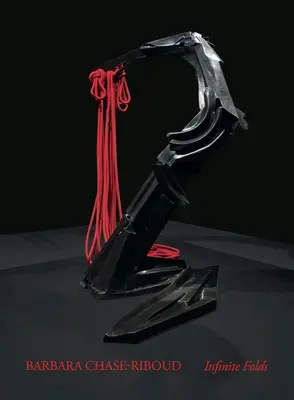 Barbara Chase-Riboudová: Nekonečné záhyby - Barbara Chase-Riboud: Infinite Folds