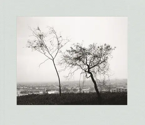 Robert Adams: Jar v Los Angeles - Robert Adams: Los Angeles Spring