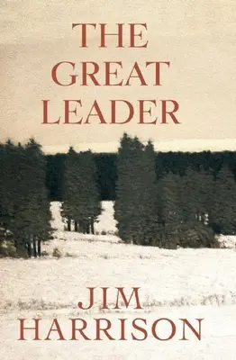 Veľký vodca: Falošná záhada - The Great Leader: A Faux Mystery