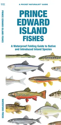 Ryby ostrova princa Eduarda: Vodotesný skladací sprievodca pôvodnými a introdukovanými sladkovodnými druhmi - Prince Edward Island Fishes: A Waterproof Folding Guide to Native and Introduced Freshwater Species