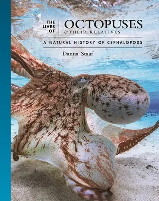 Život chobotníc a ich príbuzných: Prírodné dejiny hlavonožcov - The Lives of Octopuses and Their Relatives: A Natural History of Cephalopods