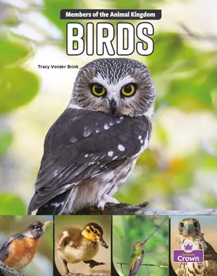 Vtáky - Birds