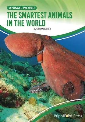 Najinteligentnejšie zvieratá na svete - The Smartest Animals in the World