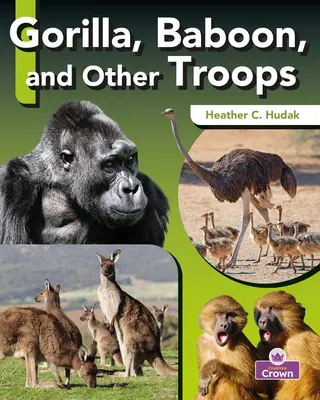 Gorila, pavián a iné oddiely - Gorilla, Baboon, and Other Troops