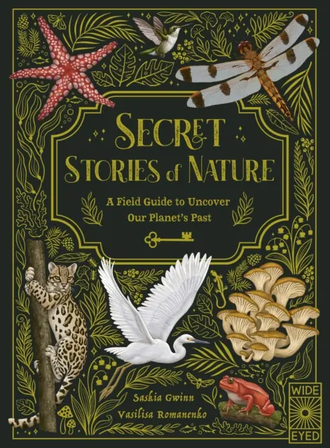 Tajné príbehy prírody - terénny sprievodca na odhaľovanie minulosti našej planéty - Secret Stories of Nature - A Field Guide to Uncover Our Planet's Past