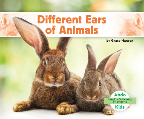 Rôzne uši zvierat - Different Ears of Animals
