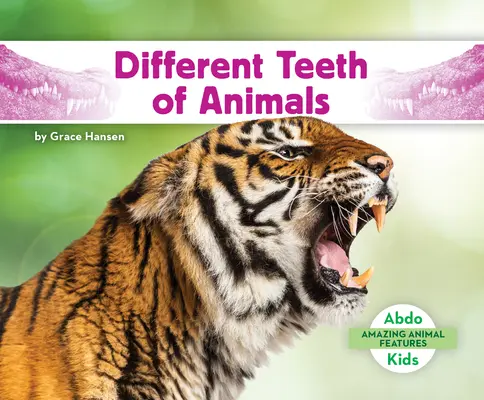 Rôzne zuby zvierat - Different Teeth of Animals