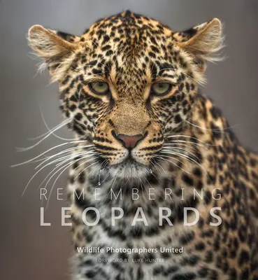 Spomienka na leopardy - Remembering Leopards