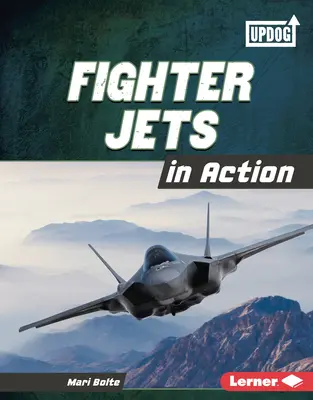 Stíhačky v akcii - Fighter Jets in Action