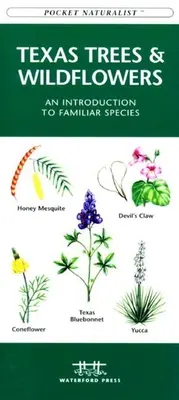 Vtáky Virgínie: Skladací vreckový sprievodca známymi druhmi - Virginia Birds: A Folding Pocket Guide to Familiar Species