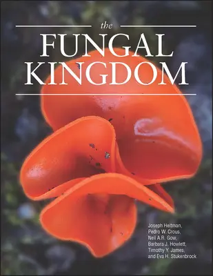Kráľovstvo húb - The Fungal Kingdom