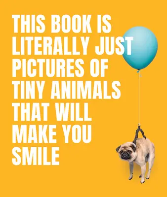 Táto kniha je doslova plná obrázkov drobných zvieratiek, ktoré vám vyčaria úsmev na tvári - This Book Is Literally Just Pictures of Tiny Animals That Will Make You Smile