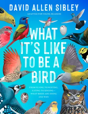 Aké je to byť vtákom (adaptované pre mladých čitateľov): Od lietania po hniezdenie, od jedla po spev - čo vtáky robia a prečo - What It's Like to Be a Bird (Adapted for Young Readers): From Flying to Nesting, Eating to Singing--What Birds Are Doing and Why