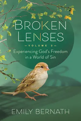 Rozbité šošovky 3. diel: Prežívanie Božej slobody vo svete hriechu - Broken Lenses Volume 3: Experiencing God's Freedom in a World of Sin