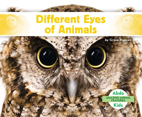 Rôzne oči zvierat - Different Eyes of Animals
