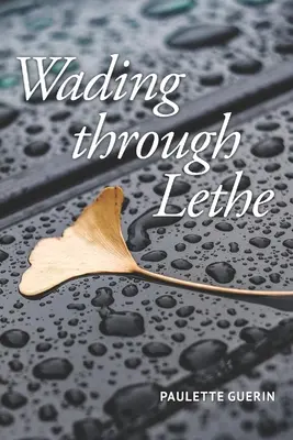 Brodenie sa Letom - Wading through Lethe