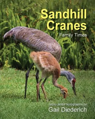 Žeriavy piesočné, rodinné časy - Sandhill Cranes, Family Times