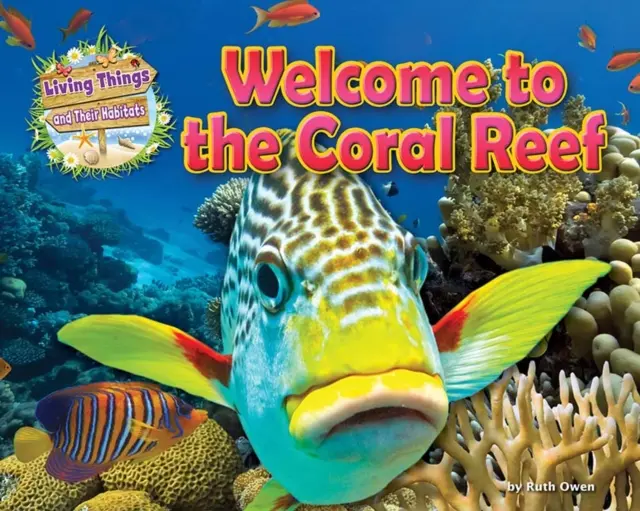 Vitajte na koralovom útese - Welcome to the Coral Reef