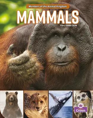 Cicavce - Mammals