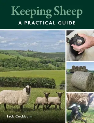 Chov oviec - Keeping Sheep