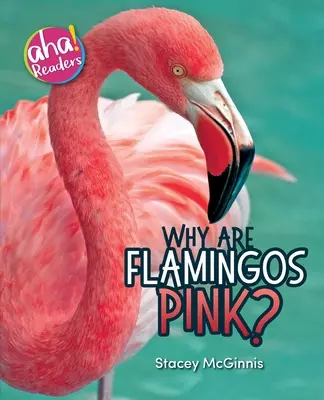 Prečo sú plameniaky ružové? - Why Are Flamingos Pink?