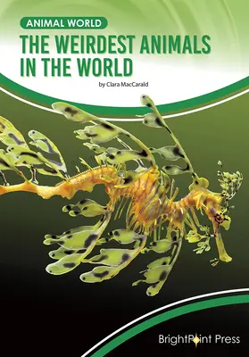 Najpodivnejšie zvieratá na svete - The Weirdest Animals in the World