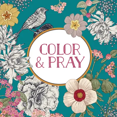 Vyfarbuj a modli sa (Kniha na pamiatku) - Color & Pray (Keepsake Coloring Book)