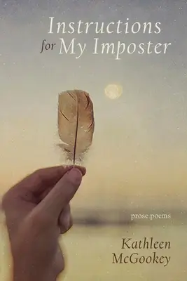 Inštrukcie pre môjho podvodníka - Instructions for My Imposter
