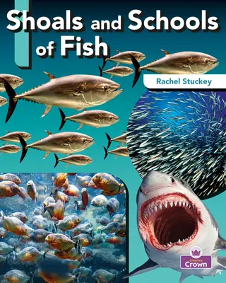 Plytčiny a húfy rýb - Shoals and Schools of Fish