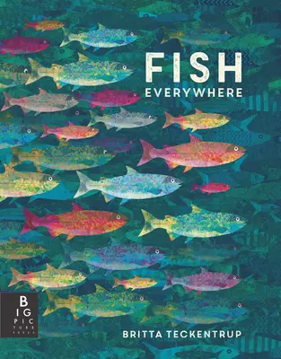 Ryby všade - Fish Everywhere