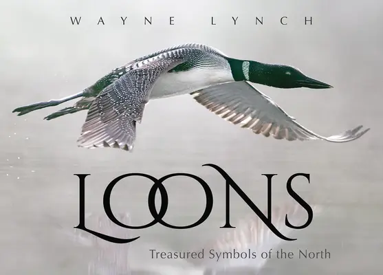 Loons: Medvede, medvede, medvede, medvede a medvede: Vzácne symboly severu - Loons: Treasured Symbols of the North