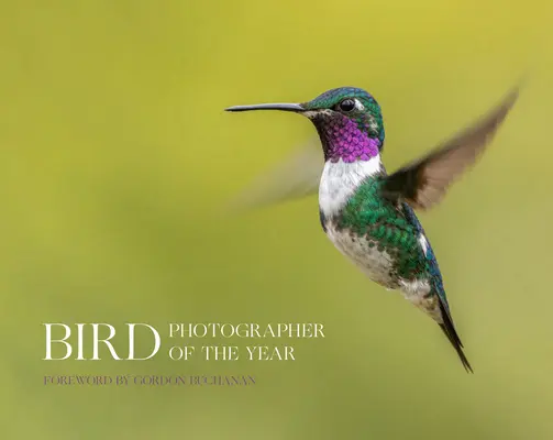 Fotograf vtákov roka - Bird Photographer of the Year