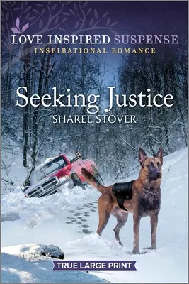Hľadanie spravodlivosti - Seeking Justice