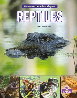 Plazy - Reptiles