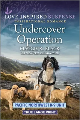 Operácia v utajení - Undercover Operation